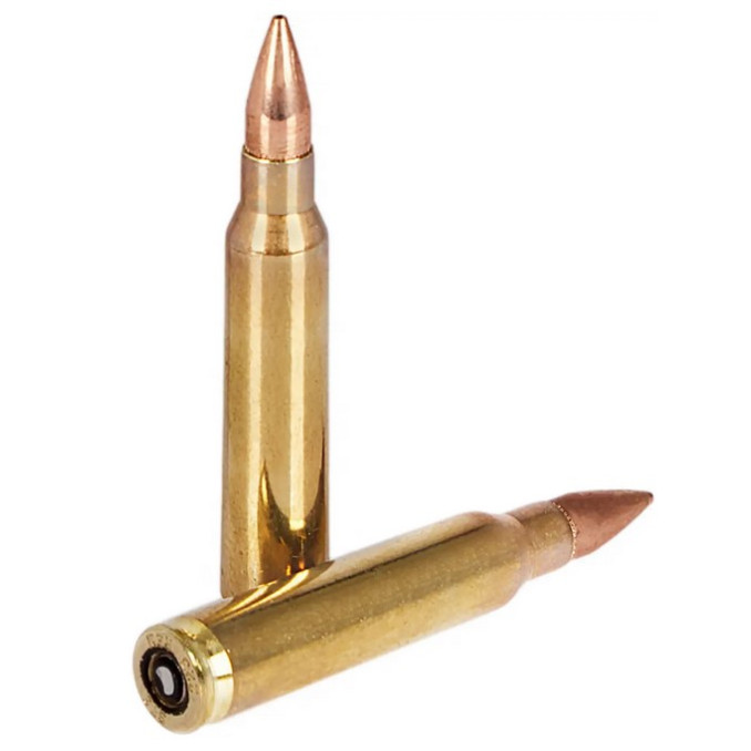 Патрон STS .223 Rem Subsonic куля PT 100 гр (6,48 г) 30 шт