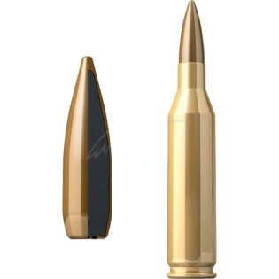 Патрон Sellier & Bellot Training кал. 243 Win куля FMJ маса 5,2 грам/80 гран. Поч. швидкість 985 м/с.