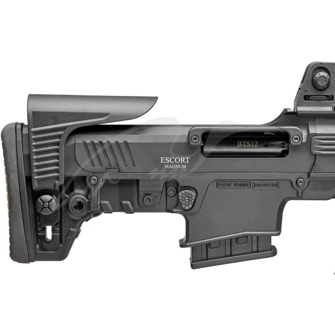 Рушниця Hatsan Escort BTS 12