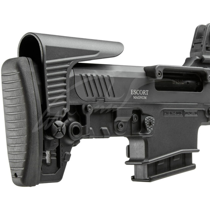 Рушниця Hatsan Escort BTS 12