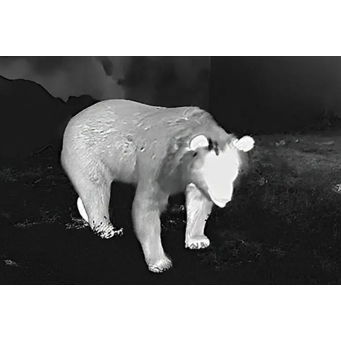 Тепловізійний приціл Guide TR 420 QD Long mount 2,3-9,2x25 384x288@12μm VOx. 1300 м