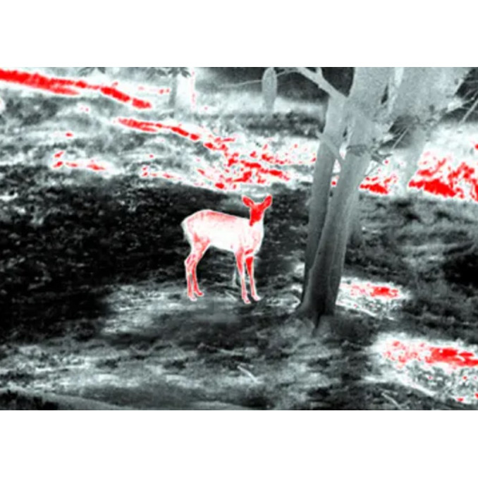 Тепловізійний приціл Guide TR 420 QD Long mount 2,3-9,2x25 384x288@12μm VOx. 1300 м