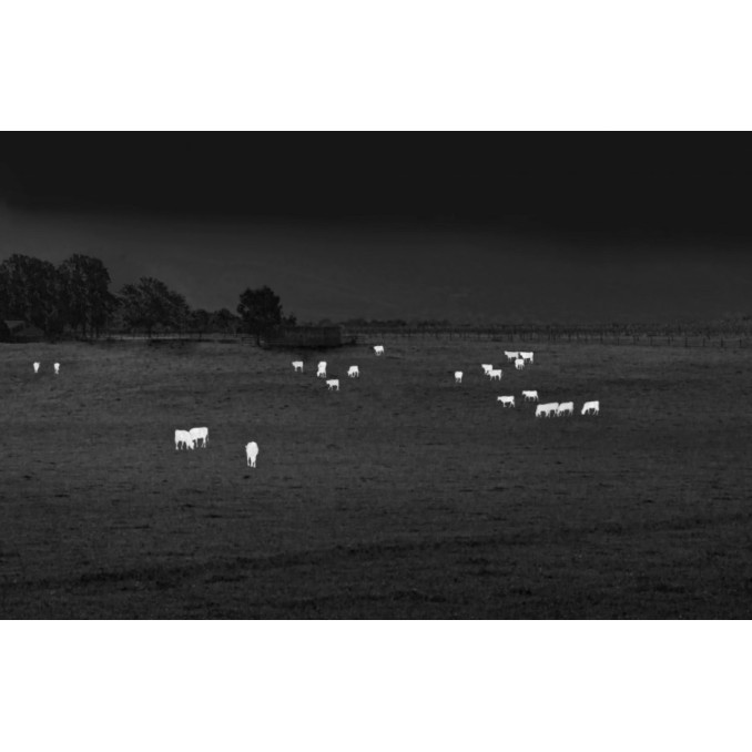 Тепловізійний приціл Senopex DOT A5