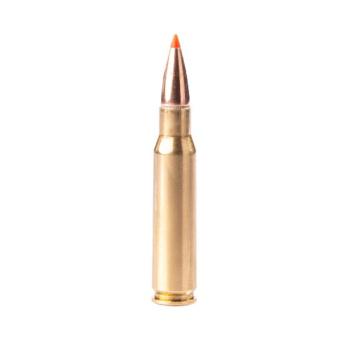 Патрон мисливський Fiocchi .308 Winchester EPN 180gr