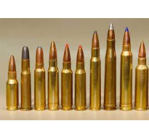 Пули для снаряжения патронов