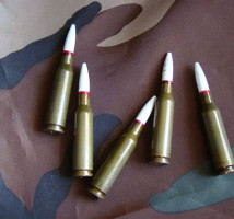 Холості патрони