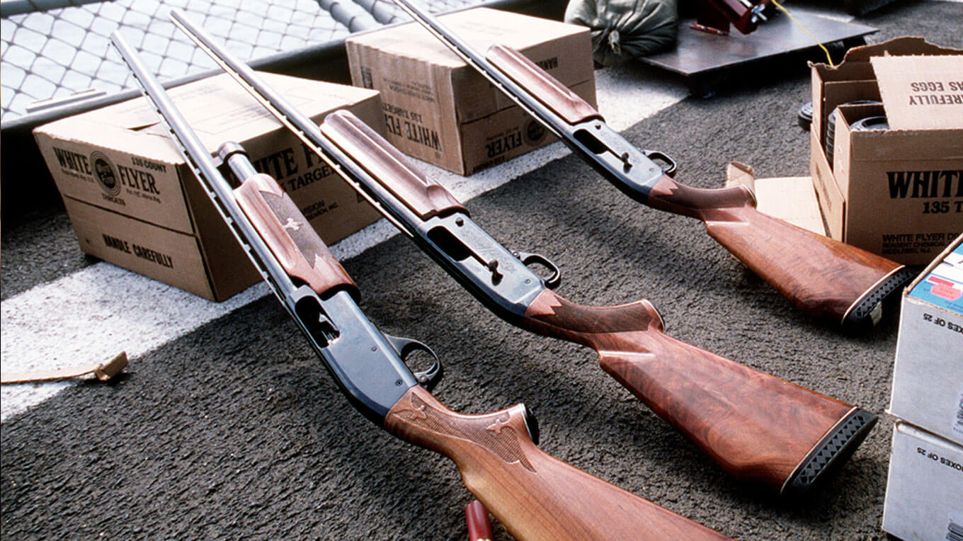 Типы дробовиков